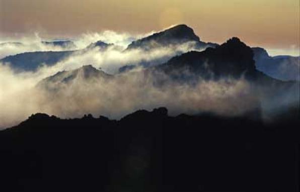 La naturaleza de Vandellòs y Hospitalet de l'Infant, fotografiada en la nueva exposición